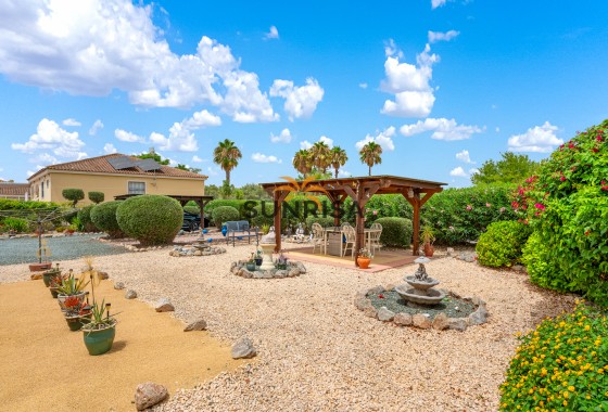 Finca · Resale - Catral · Alicante · Spain