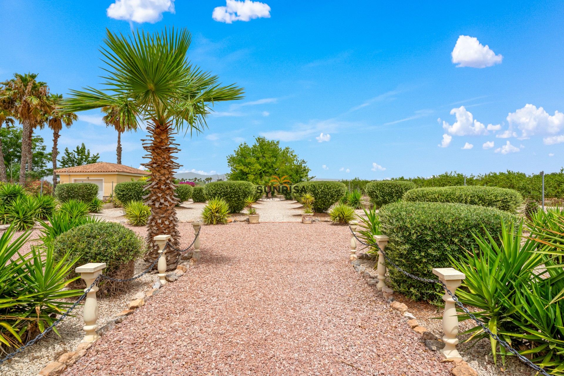 Resale - Finca - Catral