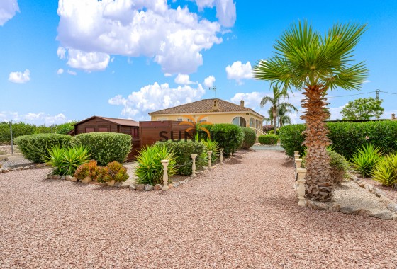 Finca · Resale - Catral · Alicante · Spain