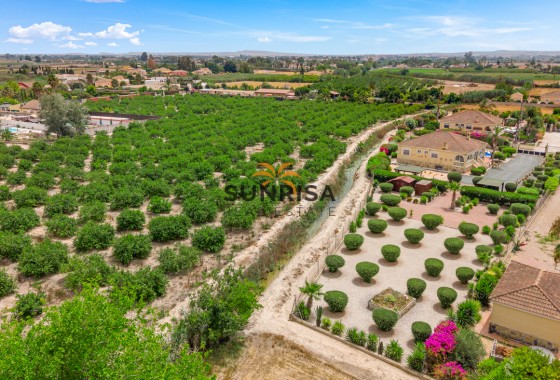 Finca · Resale - Catral · Alicante · Spain