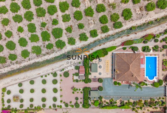 Finca · Resale - Catral · Alicante · Spain