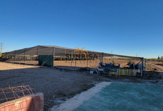Finca · Revente - San Miguel de Salinas · Alicante · Espagne