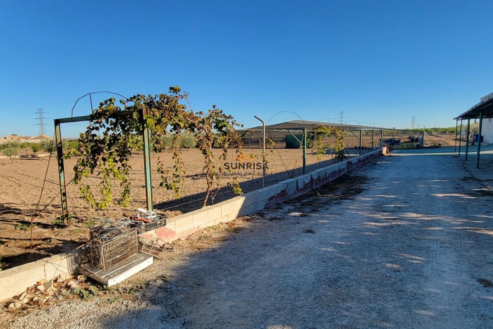 Resale - Finca - San Miguel de Salinas