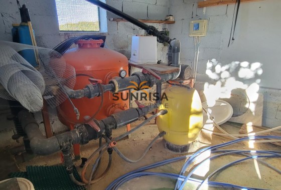 Finca · Revente - San Miguel de Salinas · Alicante · Espagne