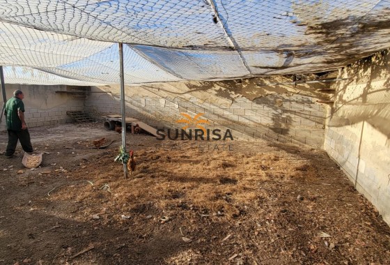 Finca · Revente - San Miguel de Salinas · Alicante · Espagne