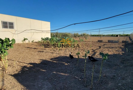 Finca · Revente - San Miguel de Salinas · Alicante · Espagne
