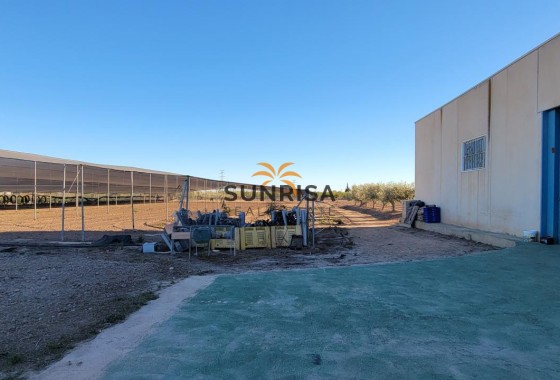 Finca · Revente - San Miguel de Salinas · Alicante · Espagne