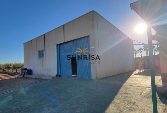 Finca · Revente - San Miguel de Salinas · Alicante · Espagne