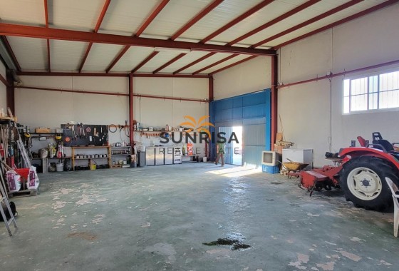 Finca · Revente - San Miguel de Salinas · Alicante · Espagne
