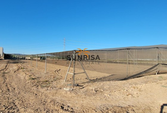 Finca · Revente - San Miguel de Salinas · Alicante · Espagne