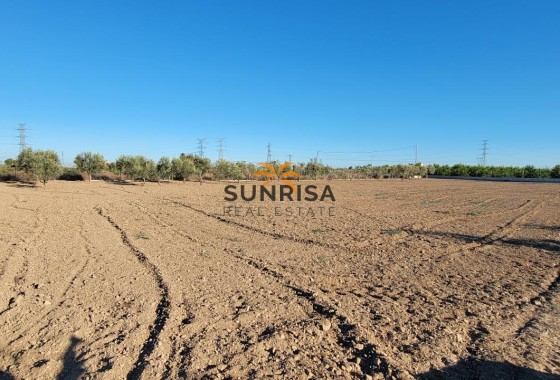 Finca · Revente - San Miguel de Salinas · Alicante · Espagne