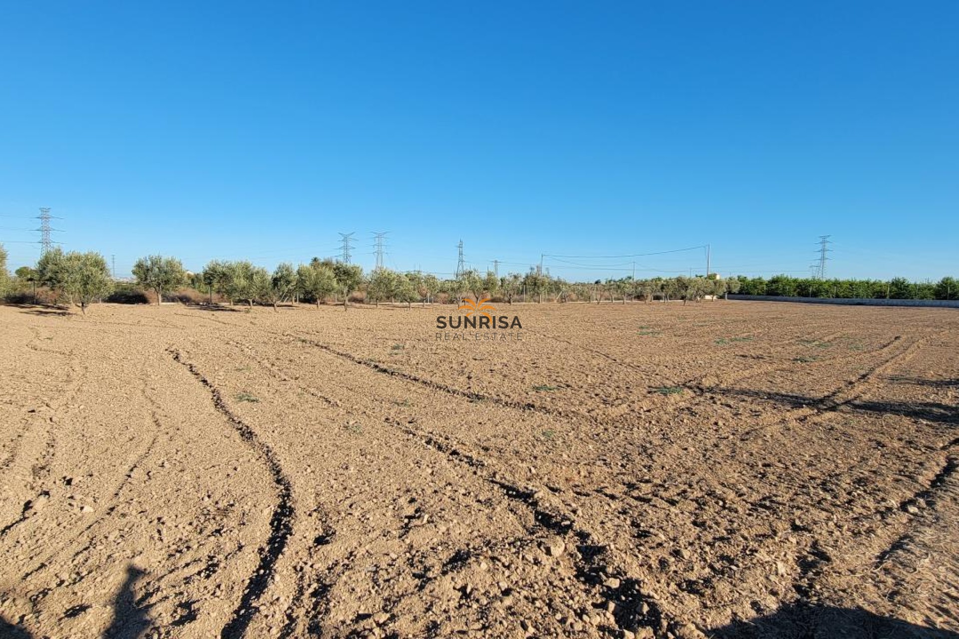Resale - Finca - San Miguel de Salinas