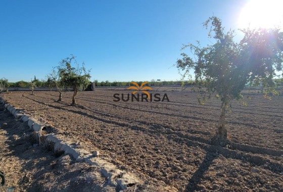 Finca · Revente - San Miguel de Salinas · Alicante · Espagne