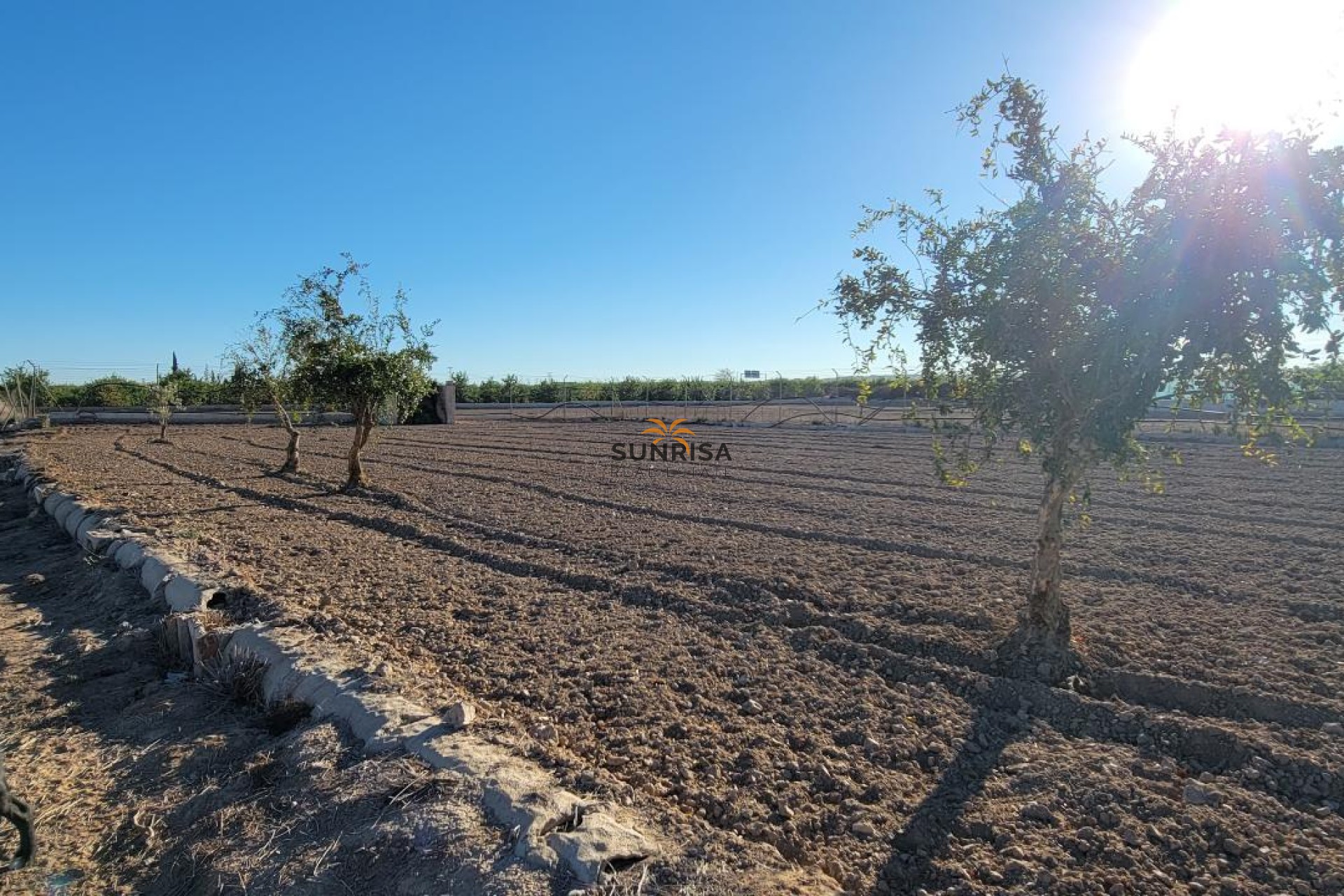 Resale - Finca - San Miguel de Salinas