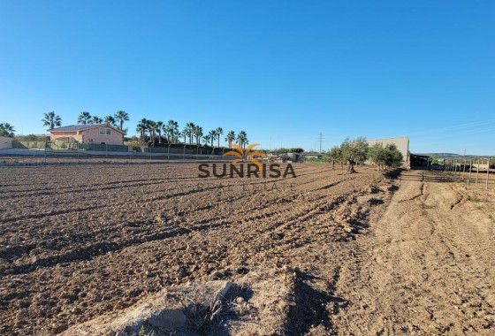 Finca · Revente - San Miguel de Salinas · Alicante · Espagne