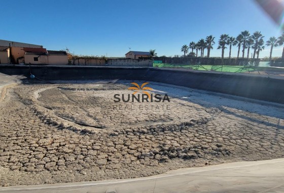 Finca · Revente - San Miguel de Salinas · Alicante · Espagne