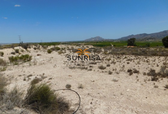 Terrain · Revente - Fortuna · Fortuna (murcia) · Murcia · Espagne