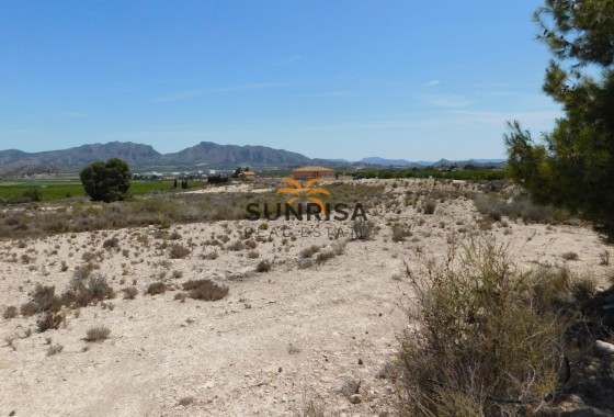 Terrain · Revente - Fortuna · Fortuna (murcia) · Murcia · Espagne