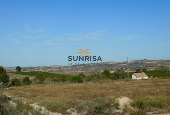 Terreno · Reventa - Torremendo · Alicante · España