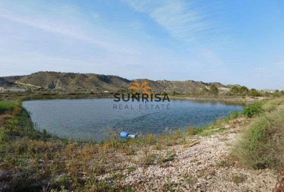 Terreno · Reventa - Torremendo · Alicante · España