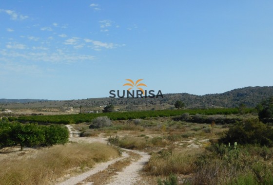 Terreno · Reventa - Torremendo · Alicante · España