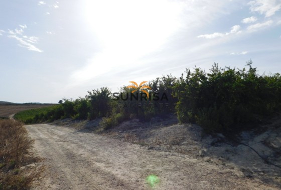 Terreno · Reventa - Torremendo · Alicante · España