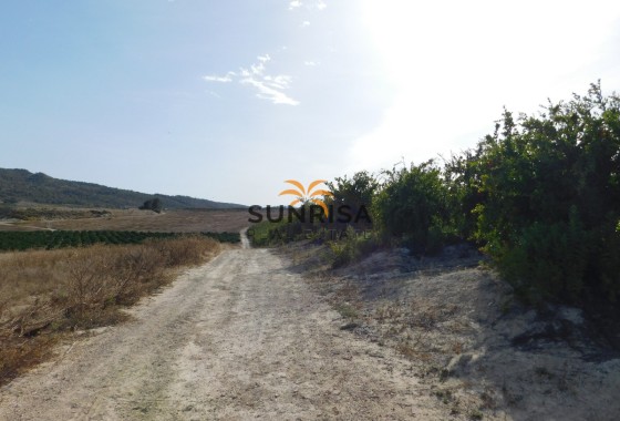 Terreno · Reventa - Torremendo · Alicante · España