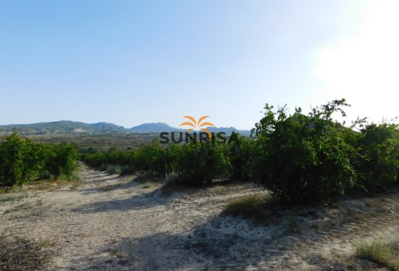 Terreno · Reventa - Torremendo · Alicante · España