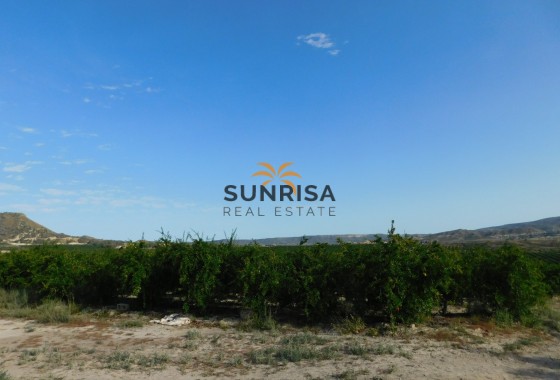 Terreno · Reventa - Torremendo · Alicante · España