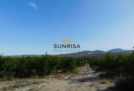 Terreno · Reventa - Torremendo · Alicante · España