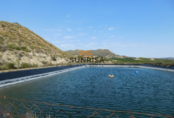Terreno · Reventa - Torremendo · Alicante · España