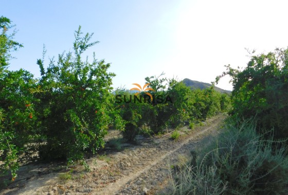 Terreno · Reventa - Torremendo · Alicante · España