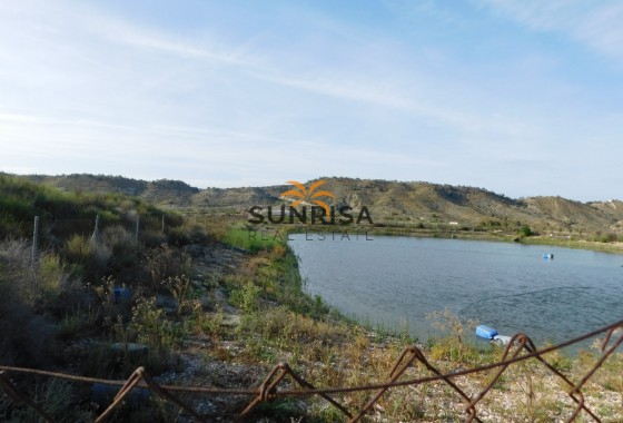 Terreno · Reventa - Torremendo · Alicante · España