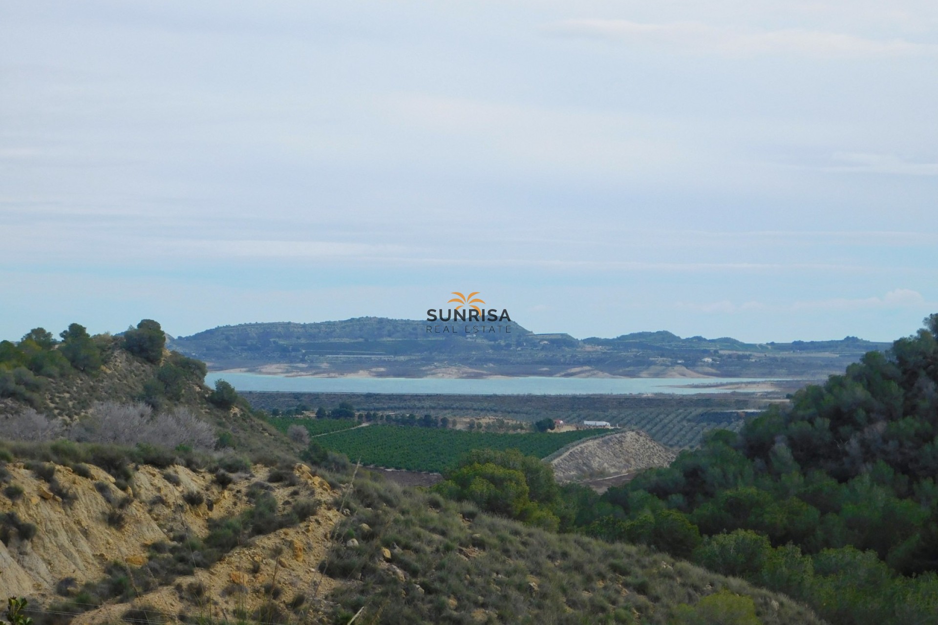 Reventa - Finca - Torremendo