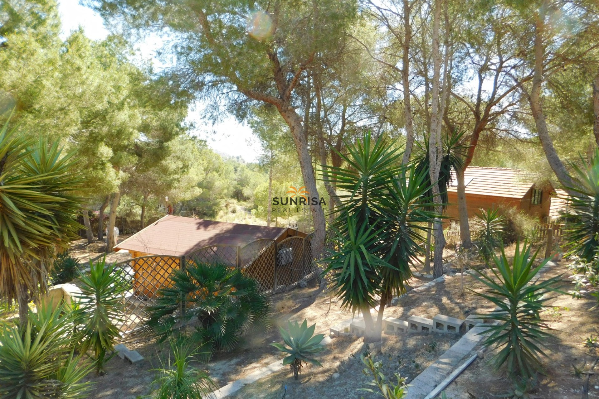 Resale - Finca - Torremendo
