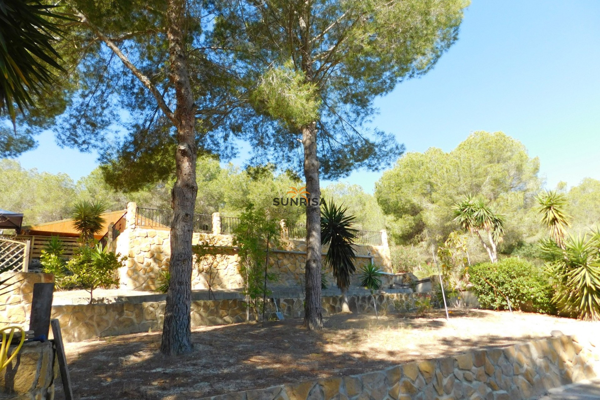 Resale - Finca - Torremendo