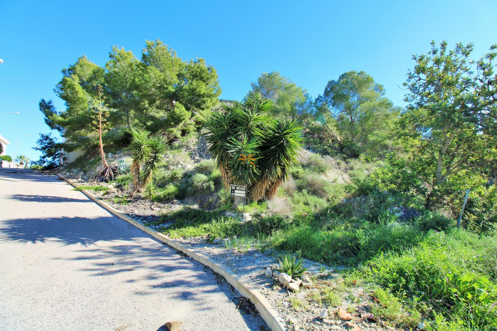 Revente - Terrain - San Miguel de Salinas