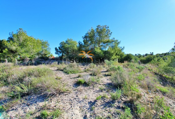 Terrain · Revente - San Miguel de Salinas · Alicante · Espagne