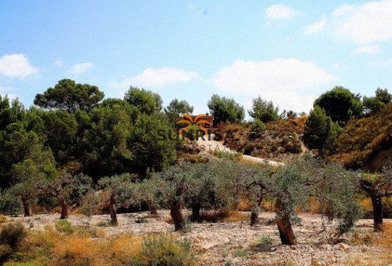 Villa · Resale - Gea y Truyols · Gea Y Truyols · Murcia · Spain