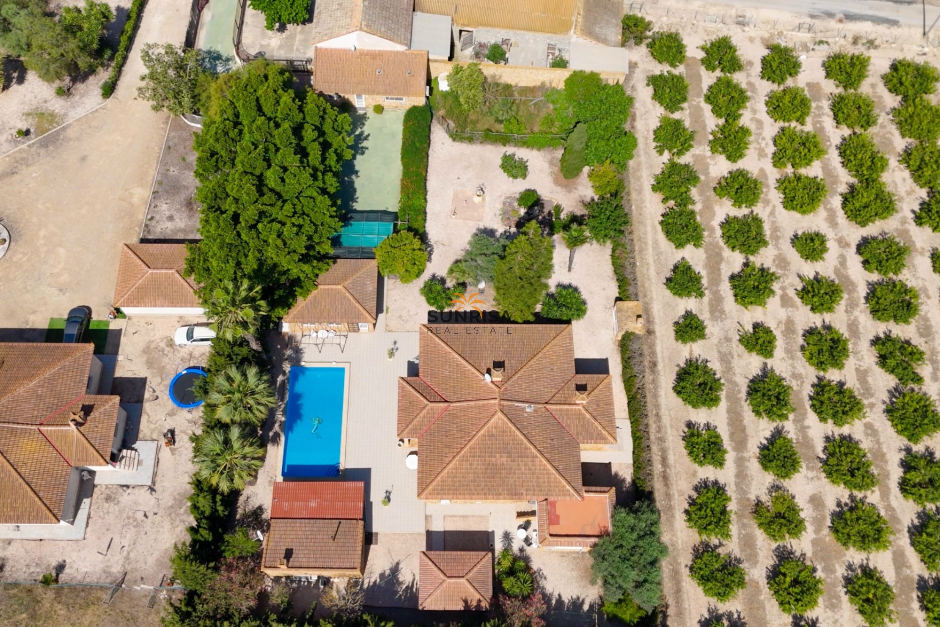 Revente - Finca - Rojales