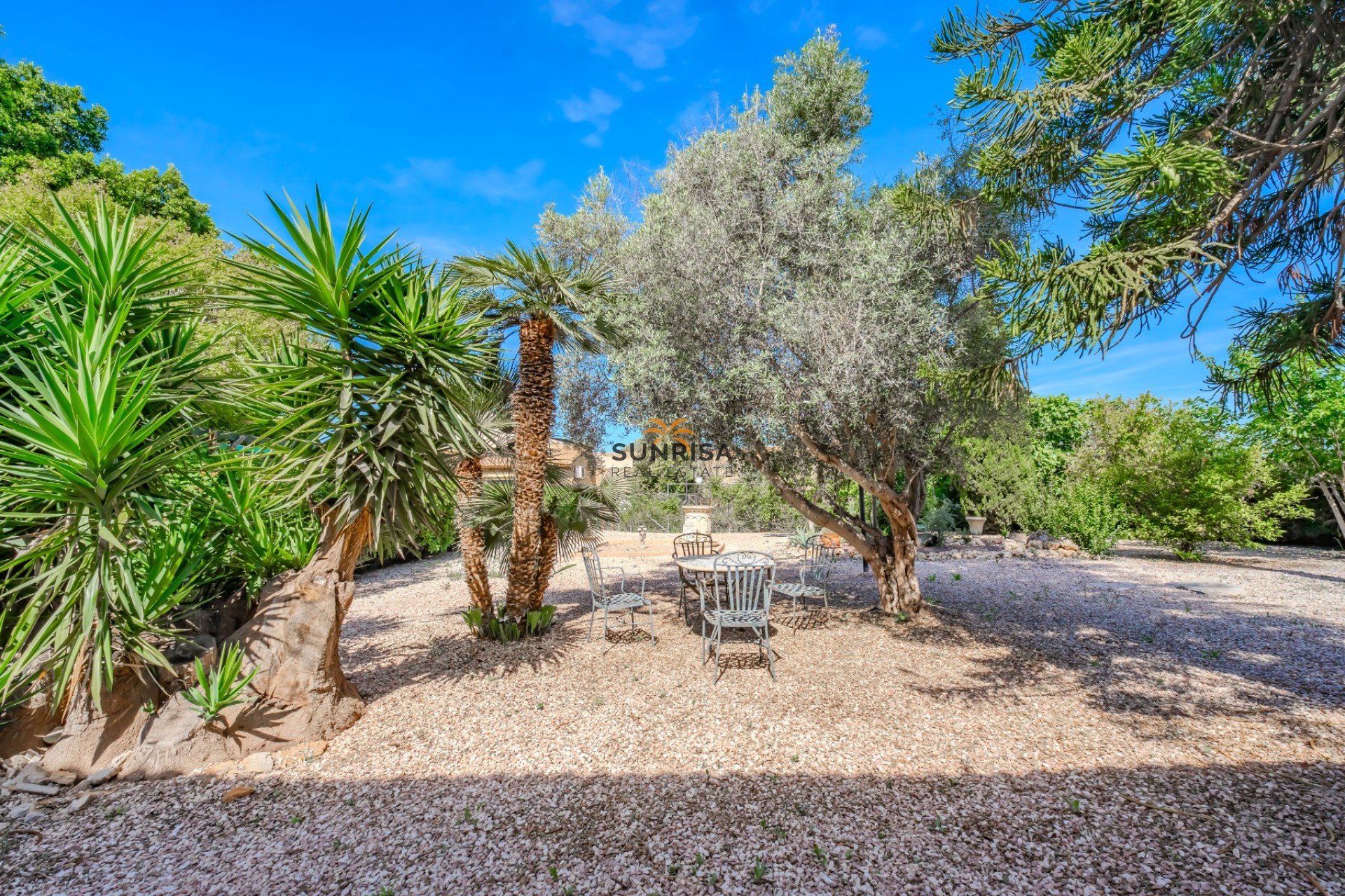 Revente - Finca - Rojales