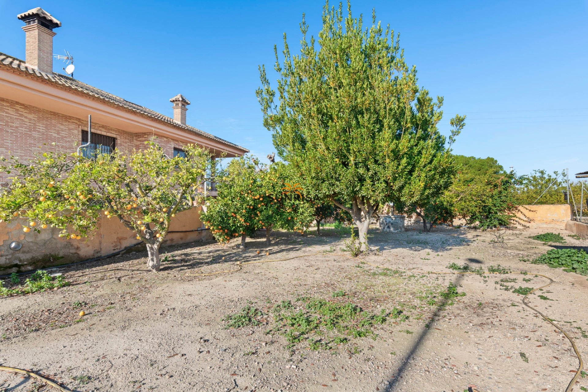 Revente - Finca - Beniel