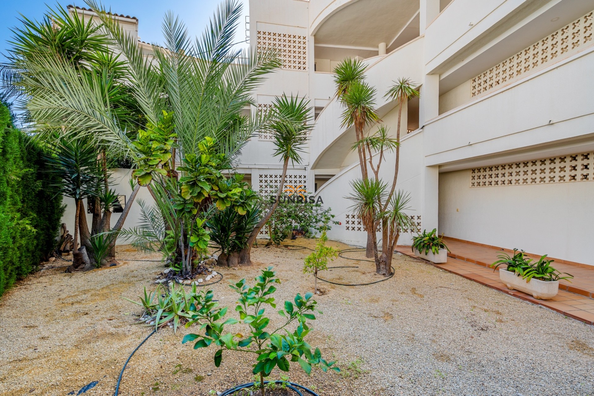 Reventa - Apartamento - Altea