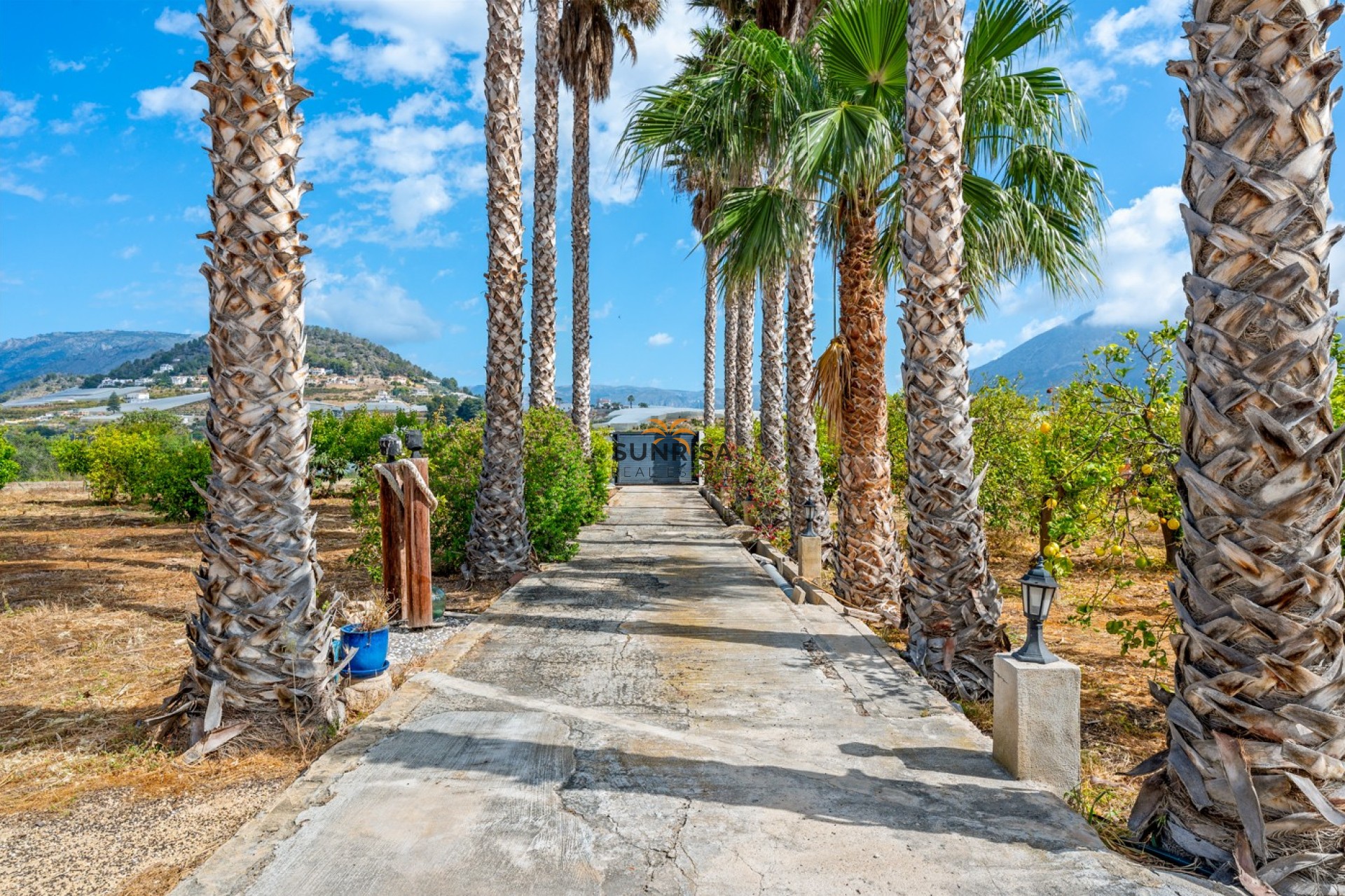 Reventa - Finca - La Nucía