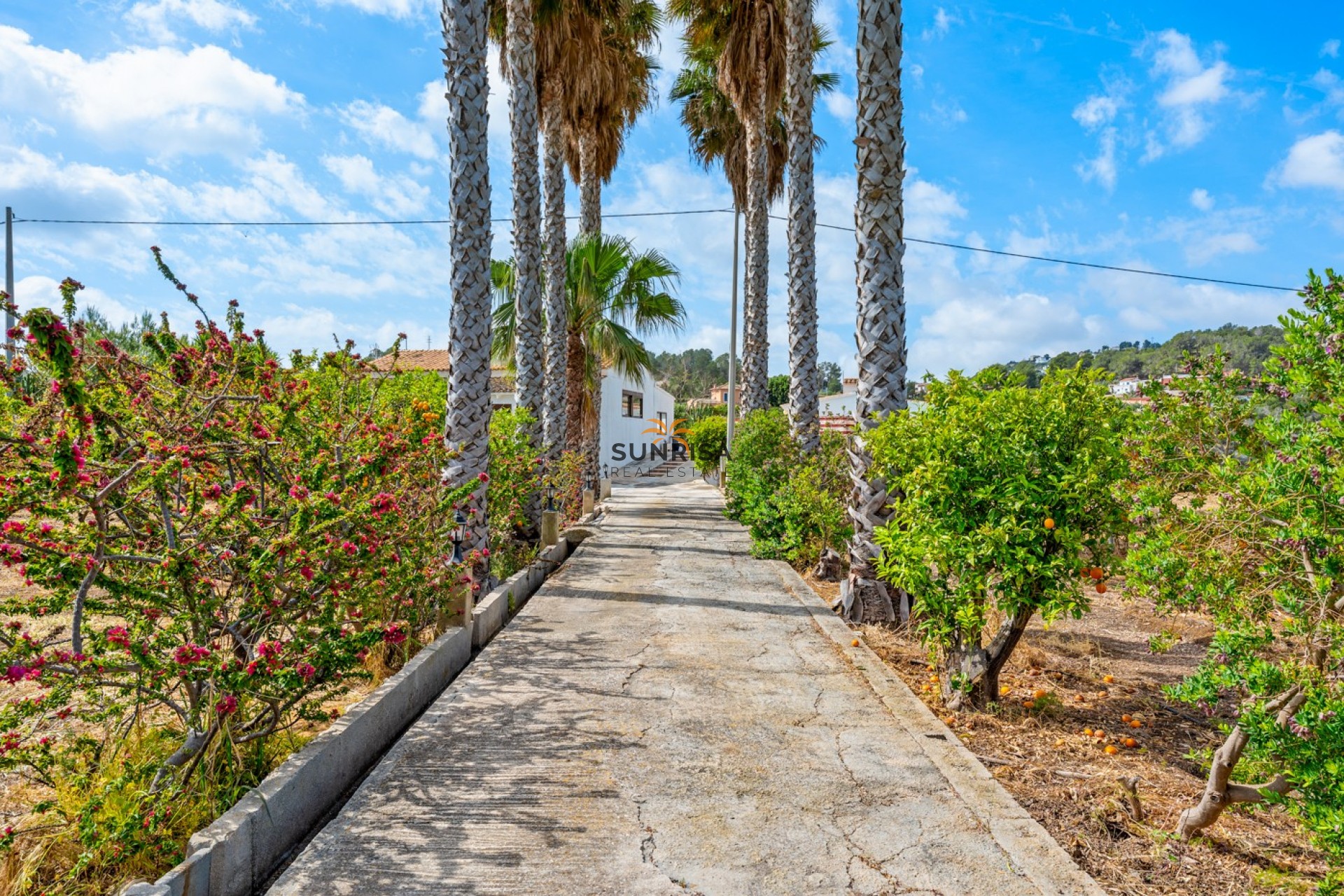Reventa - Finca - La Nucía