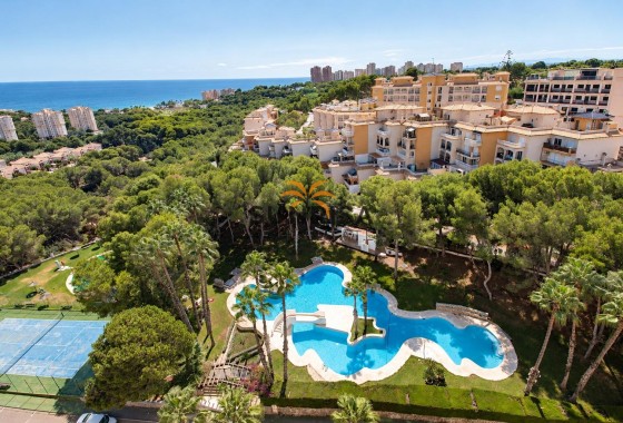 Apartamento · Reventa - Orihuela Costa · Altos de Campoamor · Alicante · España