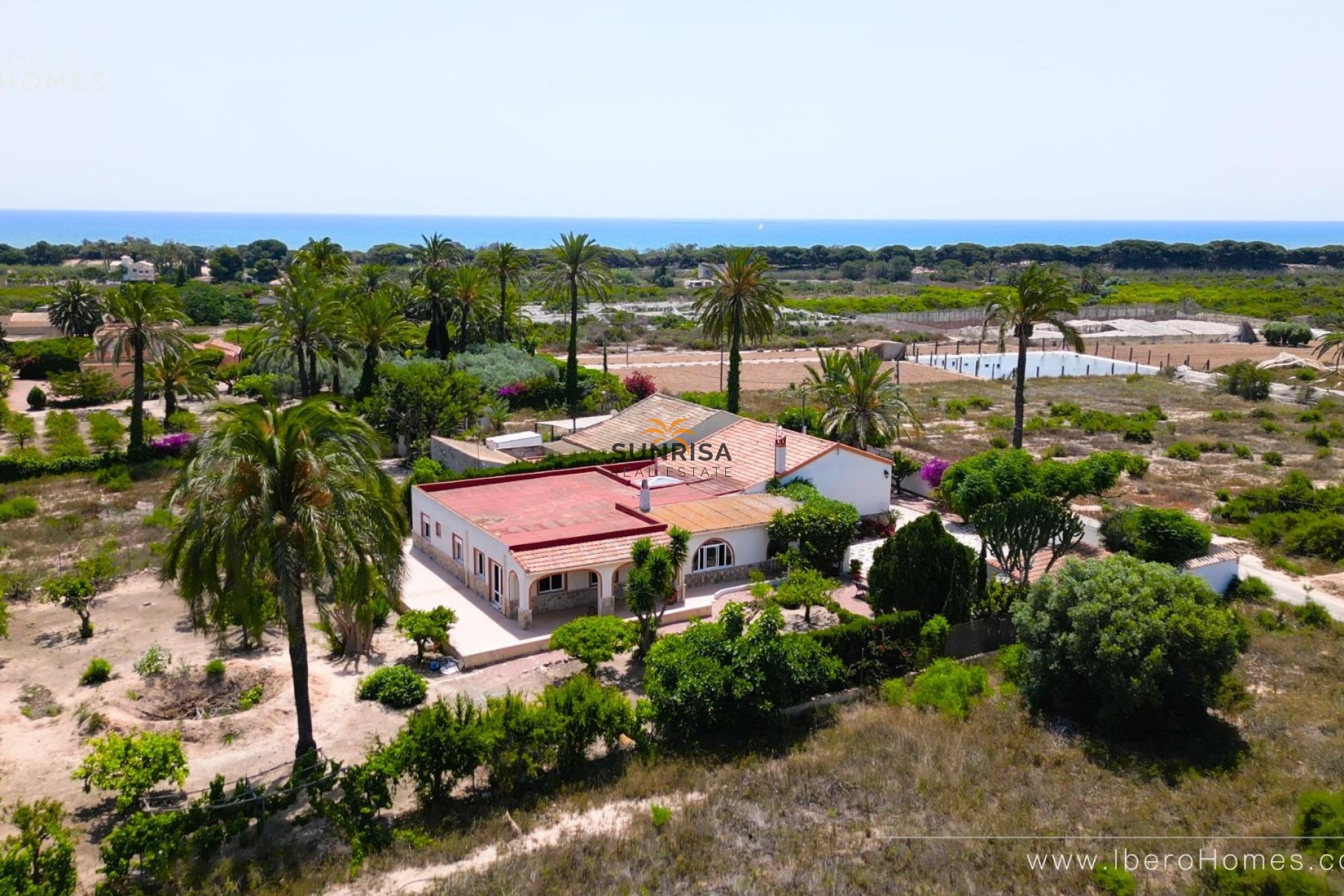 Revente - Finca - La Marina