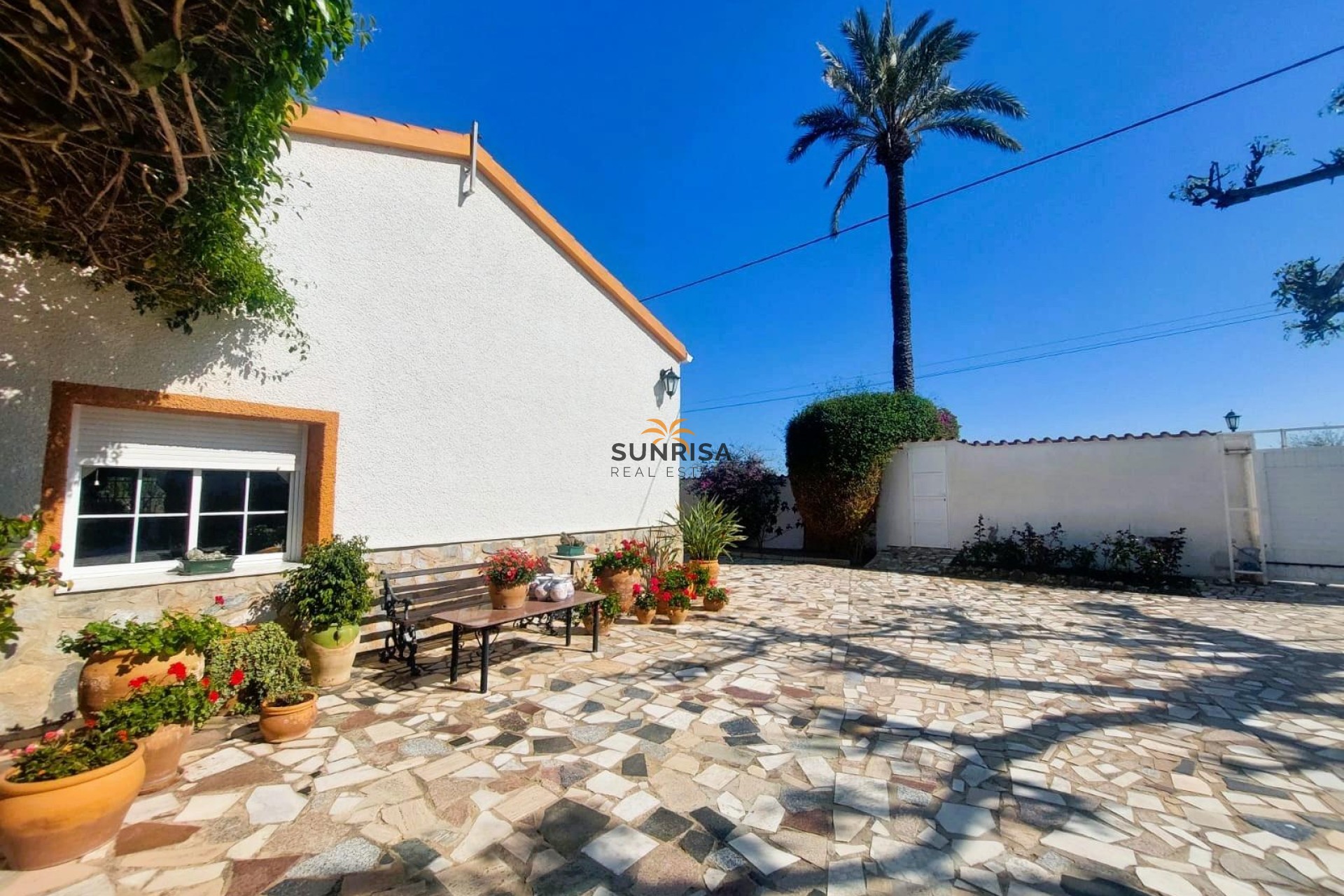 Revente - Finca - La Marina