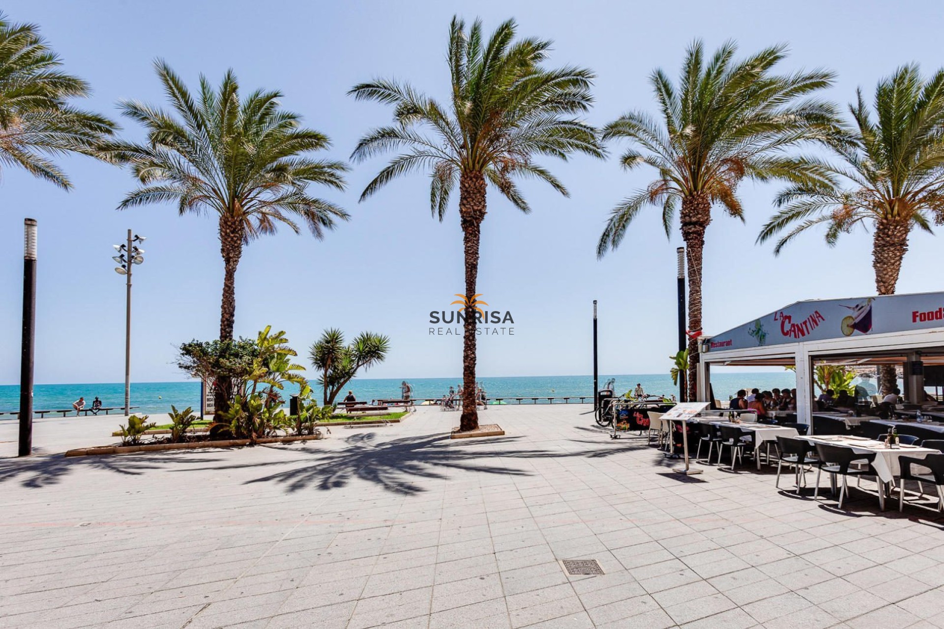 Reventa - Apartamento - Torrevieja