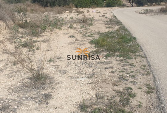 Terreno · Reventa - Benferri · Alicante · España